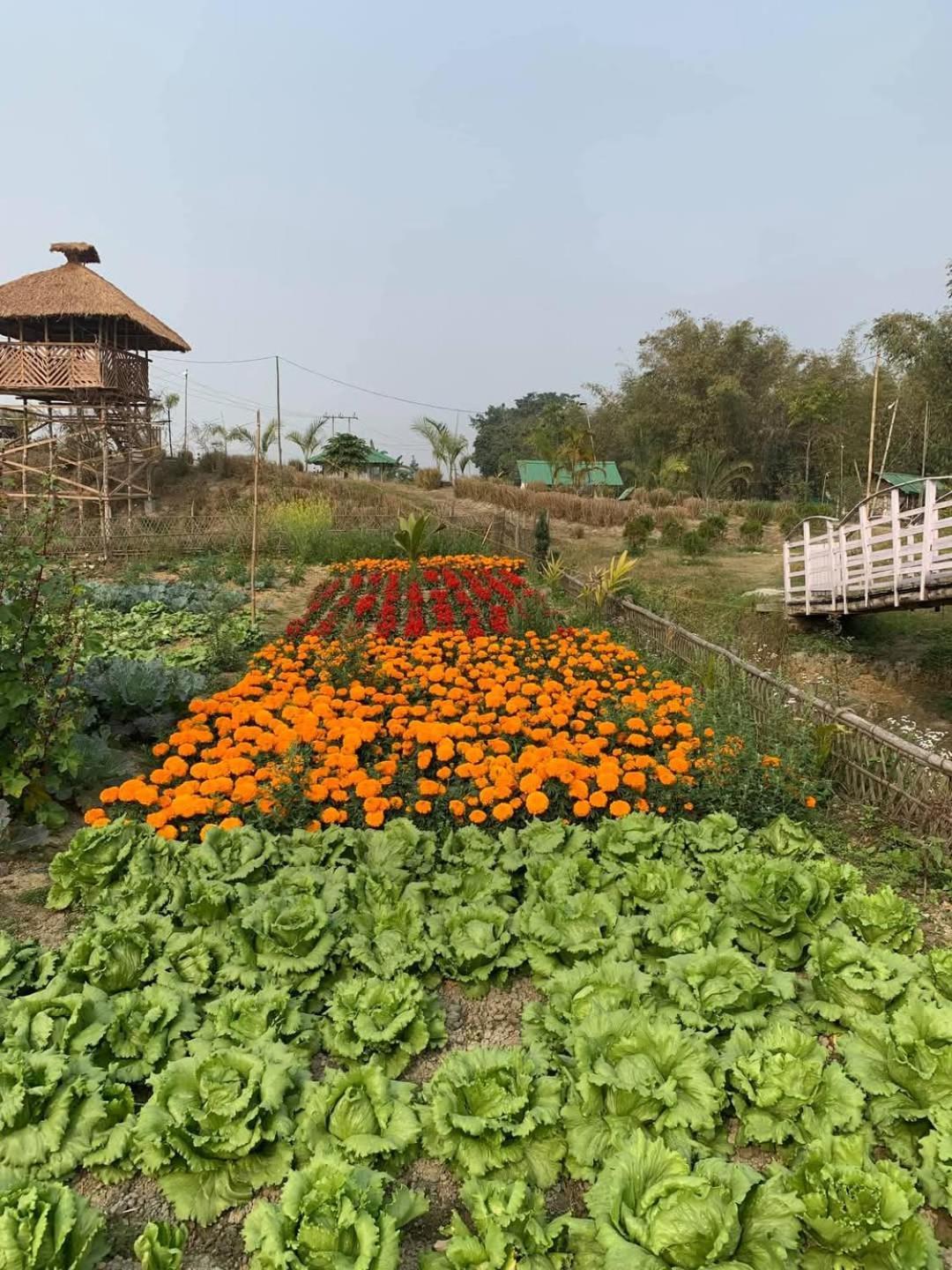 Bogibil Eco Resort New Dibrugarh Eksteriør bilde