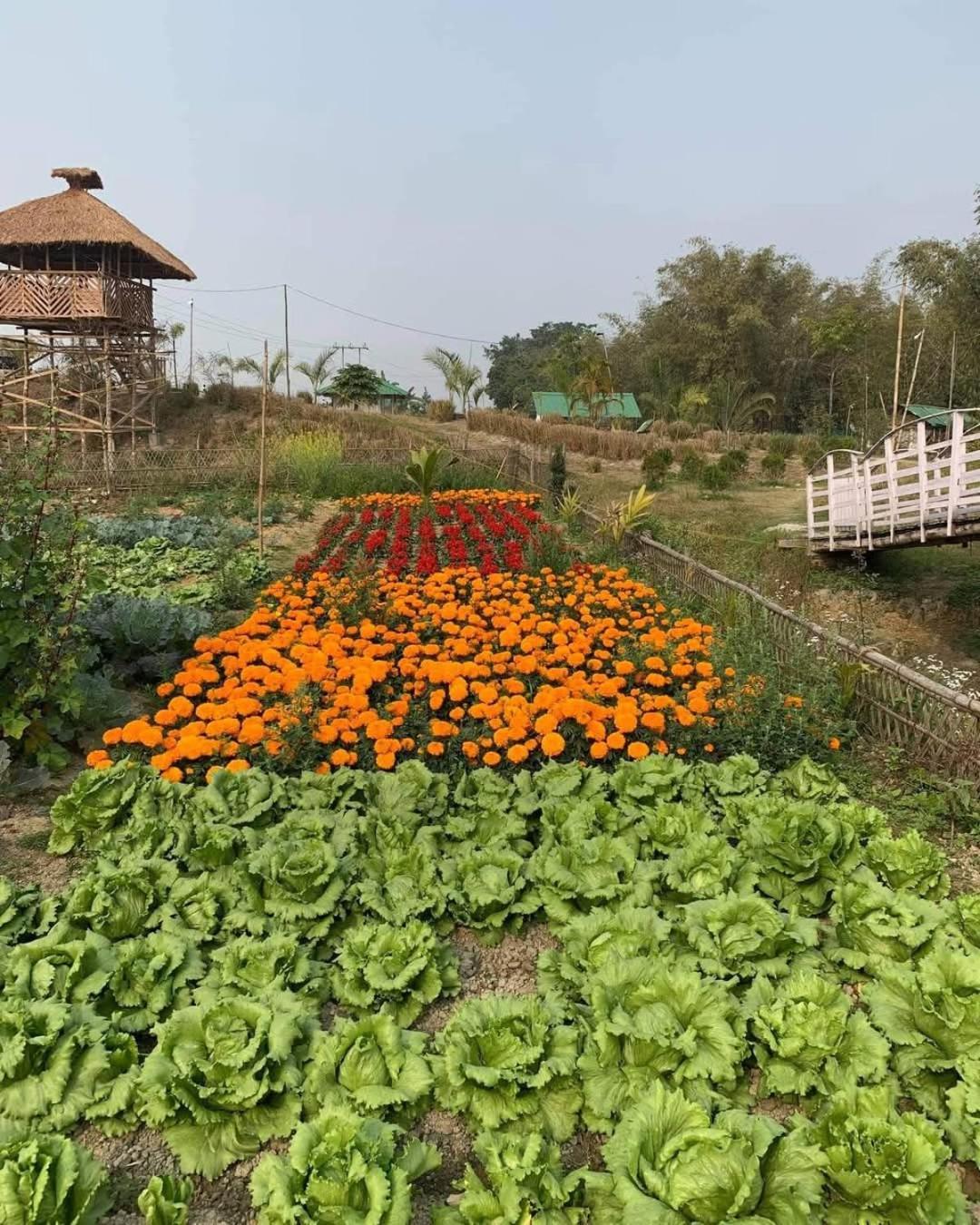 Bogibil Eco Resort New Dibrugarh Eksteriør bilde