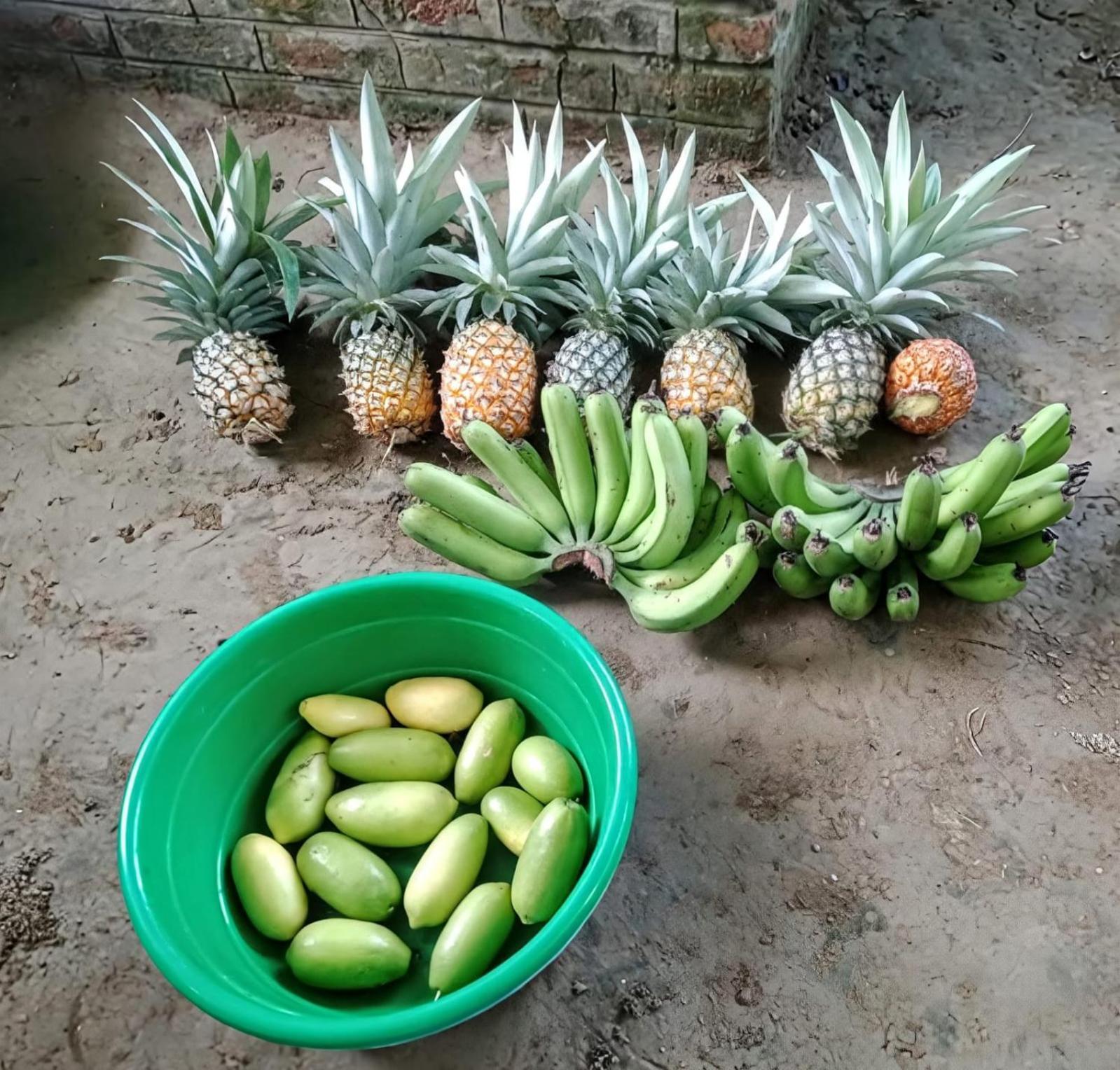 Bogibil Eco Resort New Dibrugarh Eksteriør bilde